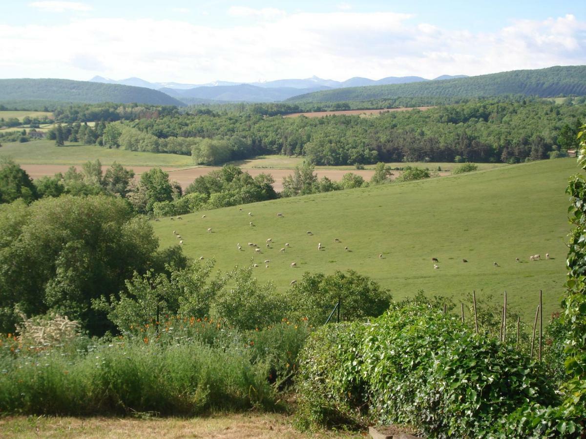 Gite Du Tarbesou Regat Bagian luar foto