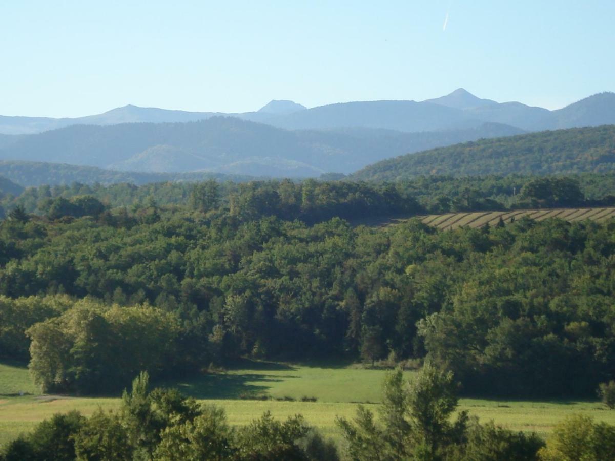 Gite Du Tarbesou Regat Bagian luar foto